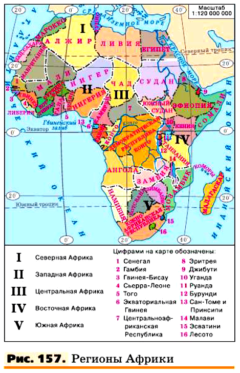 Рис. 157. Регионы Африки.