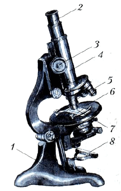 Рис. 21. Микроскоп: 1 — штатив; 2 — окуляр; 3 — винт; 4 — тубус; 5 — объектив; 6 — столик; 7 — рассматриваемый предмет; 8 — зеркало