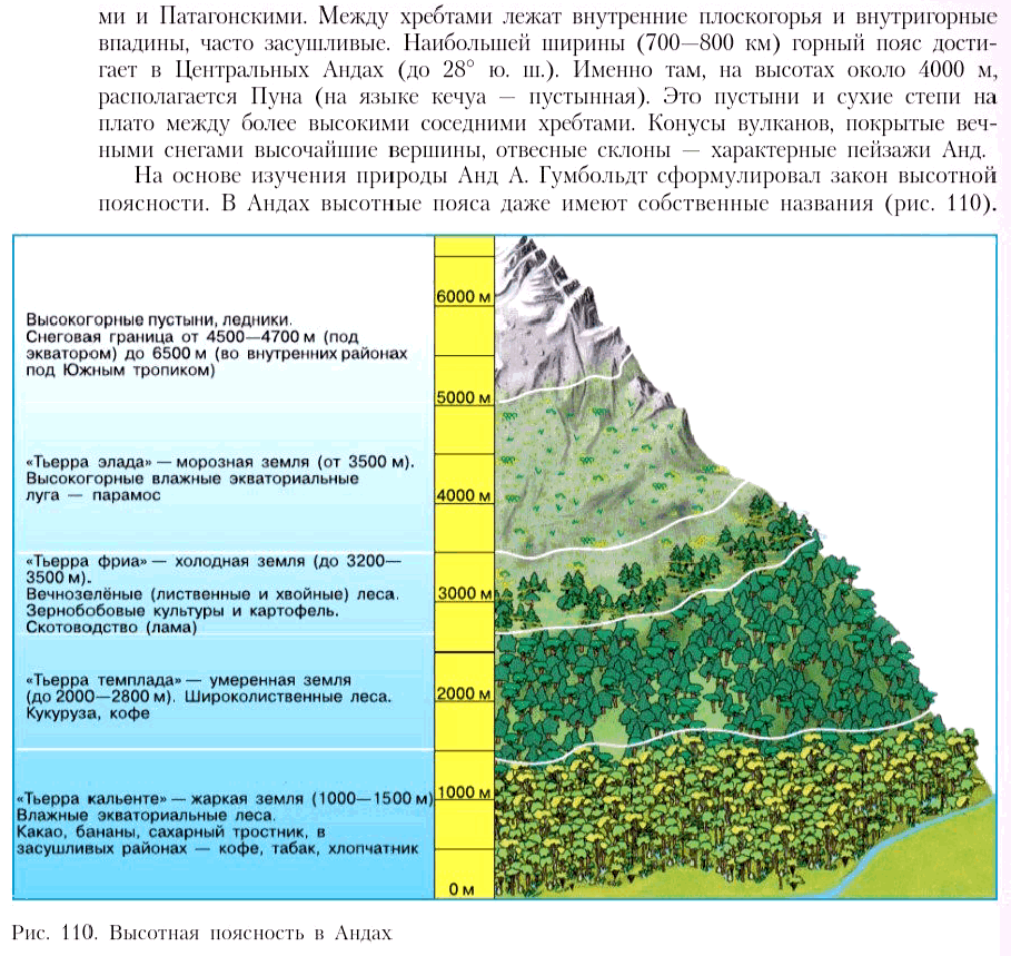 Высотную границу лесов. Высотная поясность в Андах 7 класс. Высотная поясность в Андах схема. Высотная поясность климатический пояс. Высотная поясность таблица природные зоны.